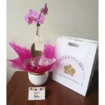 Orquídea Clásica Lila - Imagen 2