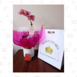 Orquídea Clásica Atigrada - Imagen 2