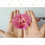Orquídea Premium Magenta Tornasolada - Imagen 5