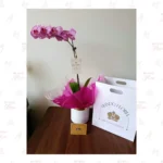Orquídea Premium Atigrada - Imagen 2